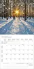 Korsch Kalender 2027 Magische Wälder mit großem Bild und Produktbild-Vorschau 2