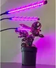 Gardlov 2x LED Lempa augalų auginimui - 2 vnt. Náhľad obrázku produktu 7