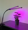 A dual-head LED grow light illuminates a small potted plant on a dark surface. Podgląd zdjęcia produktu