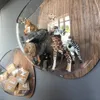 Koziol Hängedisplay ORION transparent 2er-Set Produktbild-Vorschau 10