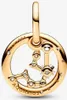 A close-up studio shot of a gold-colored zodiac charm. Voir les images du produit