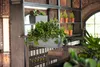 LECHUZA-Pflanzgefäß BALCONERA Stone 50 Steingrau | Produktbild-Vorschau 4