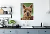 MuchoWow® Poster Lama - Braun - Makro 60x80 cm - Produktbild-Vorschau 3