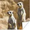 MuchoWow® Poster Felsen - Erdmännchen - Tiere 100x100 cm - Produktbild-Vorschau 1