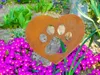 A rusty heart-shaped garden stake with a paw print cut-out is placed in a garden bed with vibrant pink flowers and green foliage. Produktbild-Vorschau
