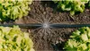 Gardena Micro-Drip-System Set Hochbeet/Beet (35 Pflanzen) Produktbild-Vorschau 23