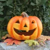 A carved pumpkin lantern sits on a rock with autumn leaves scattered around it. Anteprima dell’immagine prodotto
