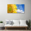 Acrylglasbilder 100x50 Wandbild Druck Sonnenblume Wolken Produktbild-Vorschau 3