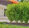 Gardena 13500-20, 25 m, Schwarz, Grün Produktbild-Vorschau 13
