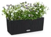 LECHUZA Bac à plantes BALCONERA Cottage 50 noir graphite | Voir les images du produit 18