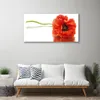 Tulup Leinwand-Bilder 100x50 Wandbild Canvas Kunstdruck Produktbild-Vorschau 3
