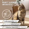 REAVET Ulmenrinde Plus stark schleimend ohne Aufkochen für Produktbild-Vorschau 2