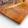 Bild auf Leinwand - Leinwandbild - Löwe Natur Tier - Produktbild-Vorschau 5