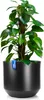 BigDean Blumentopf Style ø 40 cm anthrazit mit Produktbild-Vorschau 1