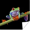 MuchoWow® Poster Frosch - Orange - Grün 100x100 cm - Produktbild-Vorschau 1