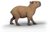 Capibara Anteprima dell’immagine prodotto 2