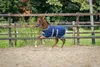 Bucas Foal Turnout 50g Navy Silver/navy, Größe:Foal Produktbild-Vorschau 5