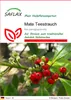 SAFLAX - Heilpflanzen - Mate Teestrauch - 10 Samen - Ilex Produktbild-Vorschau 1
