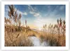Poster - Poster ohne Rahmen - Ähren Küste Sonne - 70x50 cm Produktbild-Vorschau 1