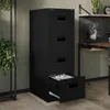 A black filing cabinet with one drawer open, showing files inside, in an office setting with plants and a desk in the background. Anteprima dell’immagine prodotto