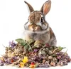 Herbes pour animaux domestiques - Herbes essentielles pour Voir les images du produit 2