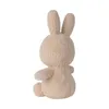 A plush toy rabbit is shown from the back, sitting on a white background. Produktbild-Vorschau