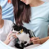 Hundekamm Katzenkamm, Hunde- & Katzenbürste mittel bis Produktbild-Vorschau 5