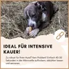 Supravit Yak Kaukäse für Hunde L (3er Pack) | Käseknochen Produktbild-Vorschau 7
