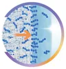 Precision7 (27 Linsen) Stärke: -1.00, BC: 8.40, DIA: 14.20 Produktbild-Vorschau 3