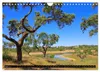 Portugal (Wandkalender 2027 DIN A4 quer), CALVENDO Produktbild-Vorschau 7