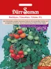 Balkontomate Totem F1 | Snacktomatensamen von Dürr Samen Produktbild-Vorschau 3