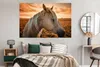 MuchoWow® Poster Pferd - Sonne - Orange 180x120 cm - Produktbild-Vorschau 4