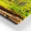 Wald in der Sonne – Leinwandbild Wandbild – 100x50 cm – Produktbild-Vorschau 3