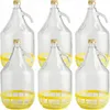 6 x 5L Glasballon (Gallone) mit Schutzkorb, Produktbild-Vorschau 1