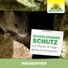 Neudorff Mäusegitter 81,5 cm x 81,5 cm 1Stk. schützt vor Produktbild-Vorschau 5