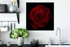 MuchoWow® Poster Rosa - Rot - Schwarz 50x50 cm - Produktbild-Vorschau 3