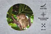 MuchoWow® Mauspad Mousepad Philippinischer Geist zwischen Produktbild-Vorschau 2