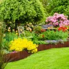 Rollborder Holz - 6 Farben - Höhe 20cm 30cm 40cm - braun 30 Produktbild-Vorschau 7