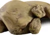 Jaskinia EXO TERRA dla gadów duża 1 szt Podgląd zdjęcia produktu 6