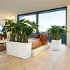 LECHUZA Vase à plantes CARARO Premium Anthracite Métallisé Voir les images du produit 15