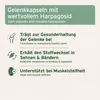 AniForte Teufelskralle Kapseln für Hunde 100 Stk - Produktbild-Vorschau 3