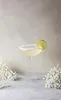 Kieliszek do szampana Eva Solo Champagne Coupe – 20 cl – 1 Podgląd zdjęcia produktu 8