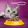 A cat is looking at a bowl of cat food. Náhľad obrázku produktu
