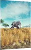 Bilder auf glas - Einteilig - Surreal Elefant Rippen - Produktbild-Vorschau 1