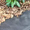 A close-up view of landscaping fabric covered with bark mulch, with green leaves visible at the top. Produktbild-Vorschau