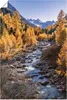 ARTland Poster Herbst im Oberengadin Größe: 60x90 cm Produktbild-Vorschau 1