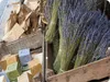 SAFLAX - pravá levandule - Lavandula angustifolia - 150 Náhled obrázku produktu 4