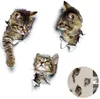 3D Katzen Wandtattoo Kombination WC-Aufkleber Wandsticker Produktbild-Vorschau 7