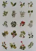 Vintage-Blätter und Blumen-Aufkleber – Washi-Aufkleber – Produktbild-Vorschau 5
