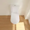 Villeroy & Boch V&B WC sedadlo HOMMAGE Závesy chróm biela Náhľad obrázku produktu 12